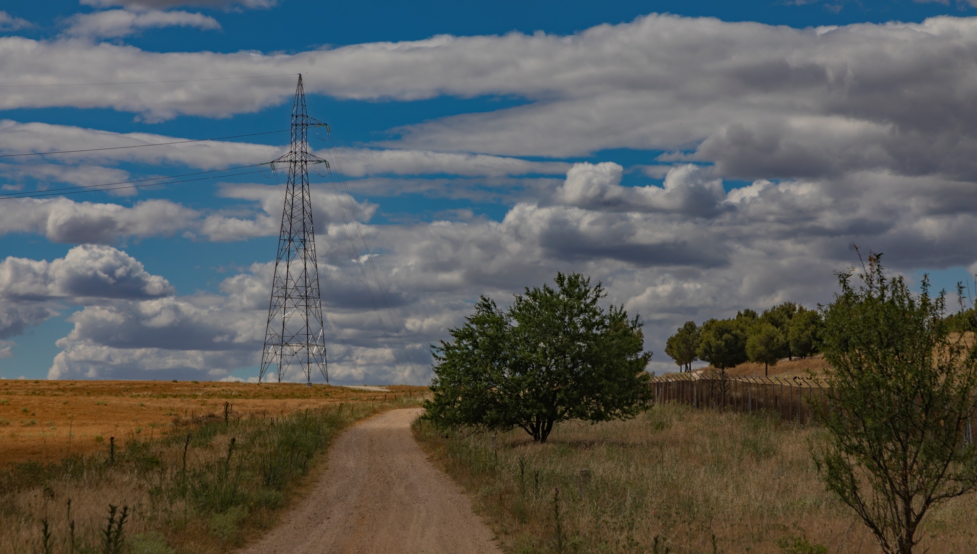 Línea eléctrica