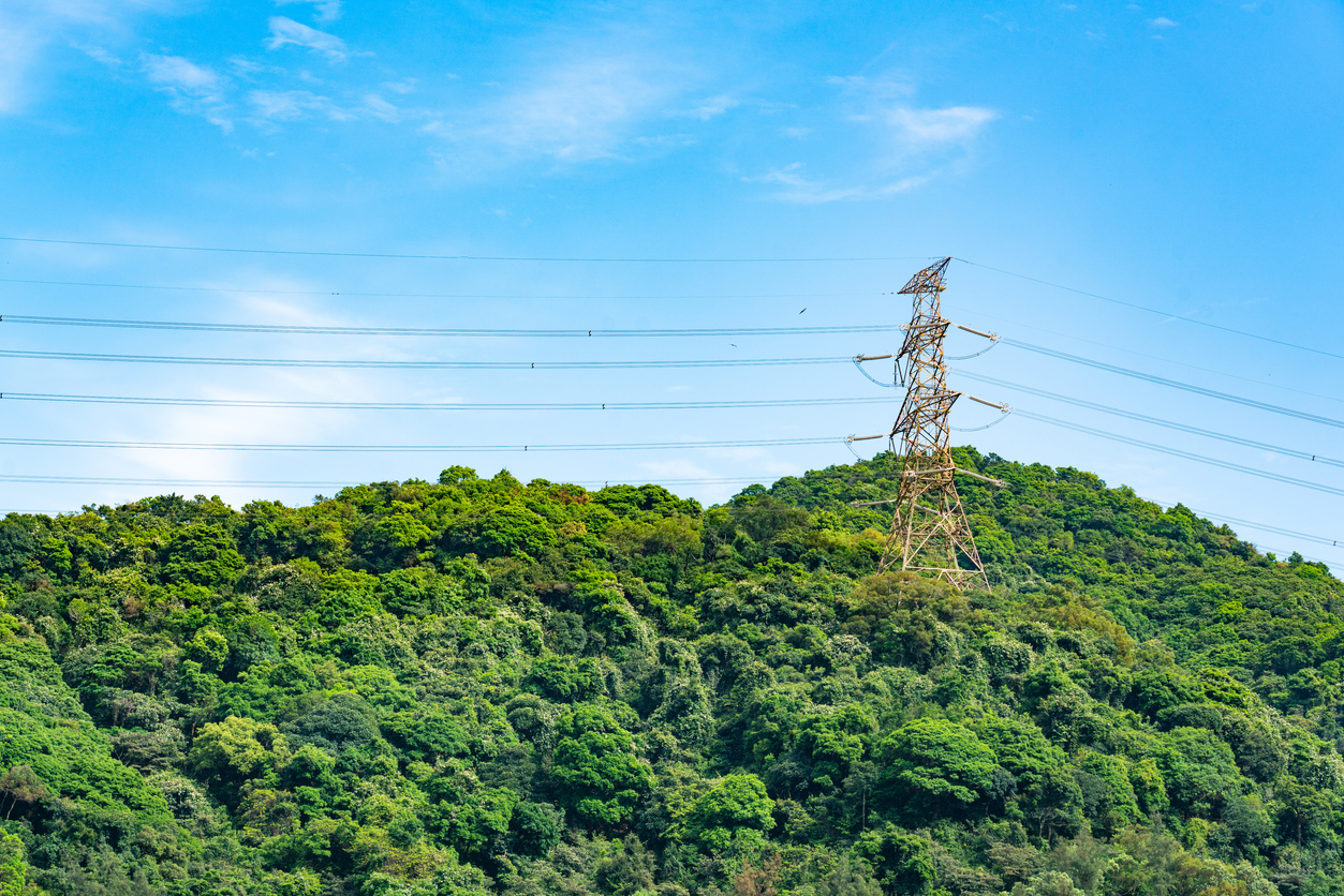 Sistema eléctrico