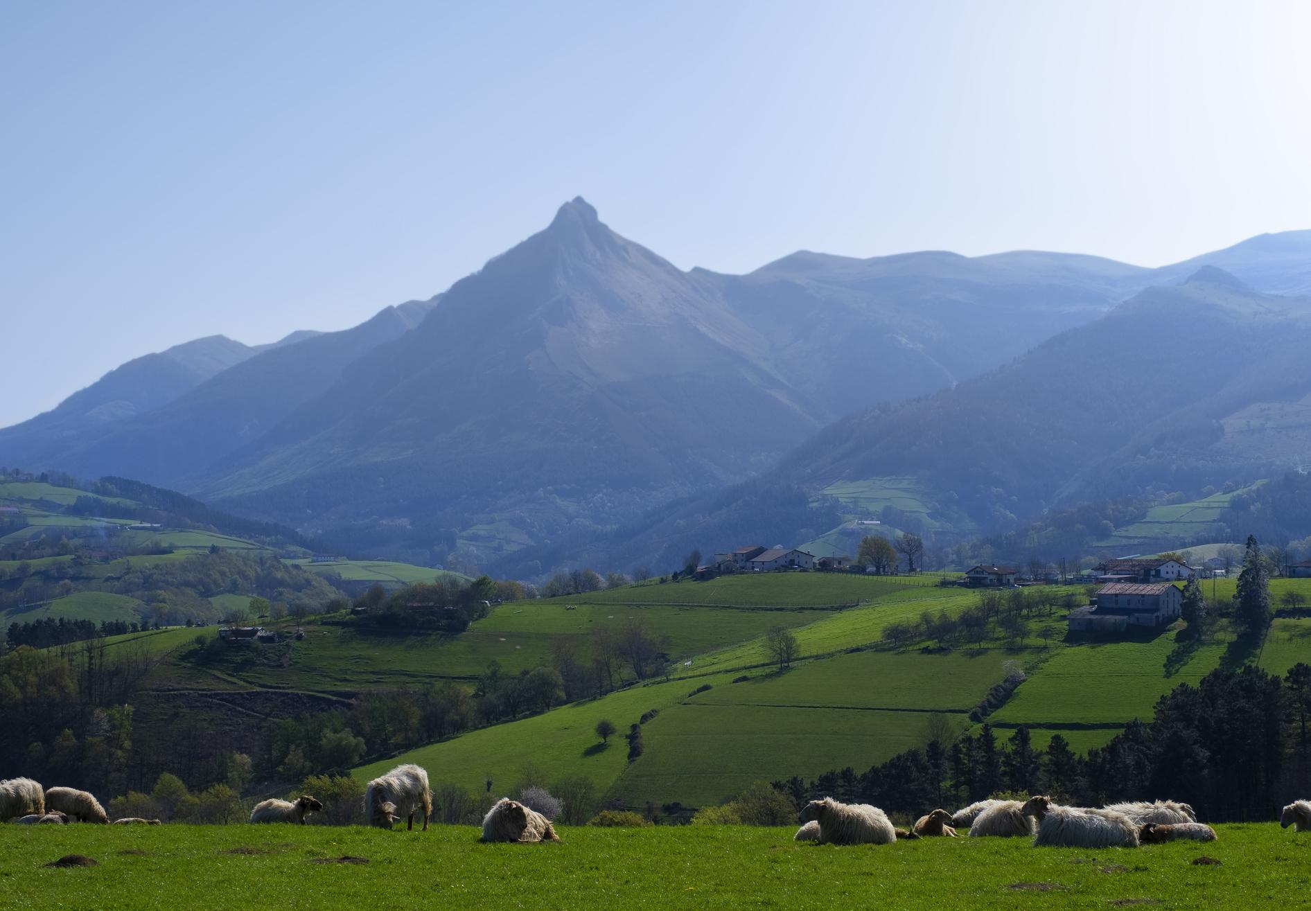 Sierra de Aralar