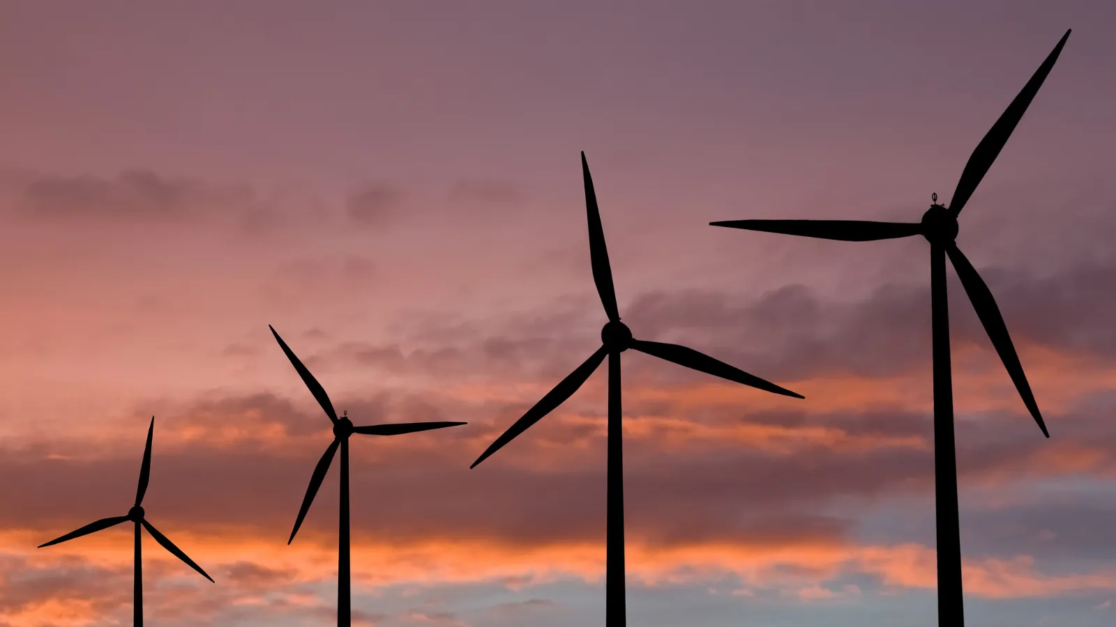 Data Challenge es una acción impulsada por Red Eléctrica y Elewit para identificar proveedores potenciales que los apoyen en la mejorara de los modelos de predicción de energías renovables.